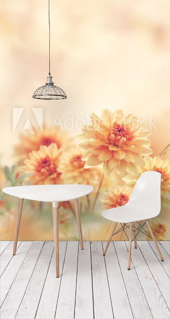 Picture of Dahlia Flowers